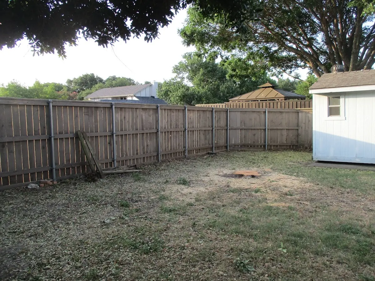 Cleared yard after professional tree removal in Fanshawe